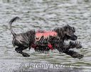 20180818-wwd-0295