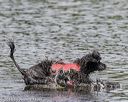 20180818-wwd-0296