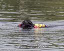 20180818-wwd-0339