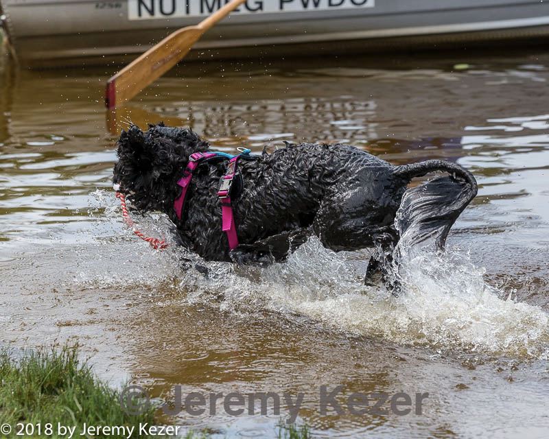 20180818-wwd-0177.jpg