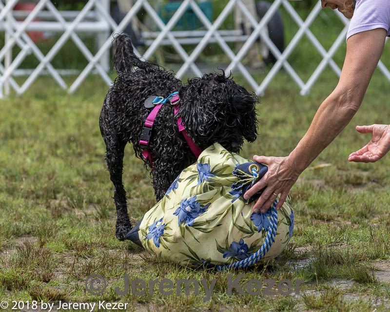 20180818-wwd-0202.jpg
