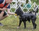 20180819-awd-0025
