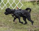 20180819-awd-0039