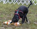 20180819-cwd-0031