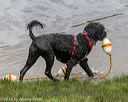 20180819-cwd-0037
