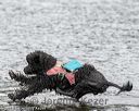 20180819-cwd-0046