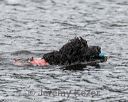 20180819-cwd-0050