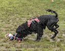 20180819-cwd-0064