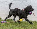 20180819-cwd-0066