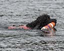 20180819-cwd-0084