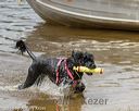 20180819-jwd-0068