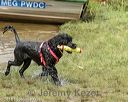 20180819-jwd-0076