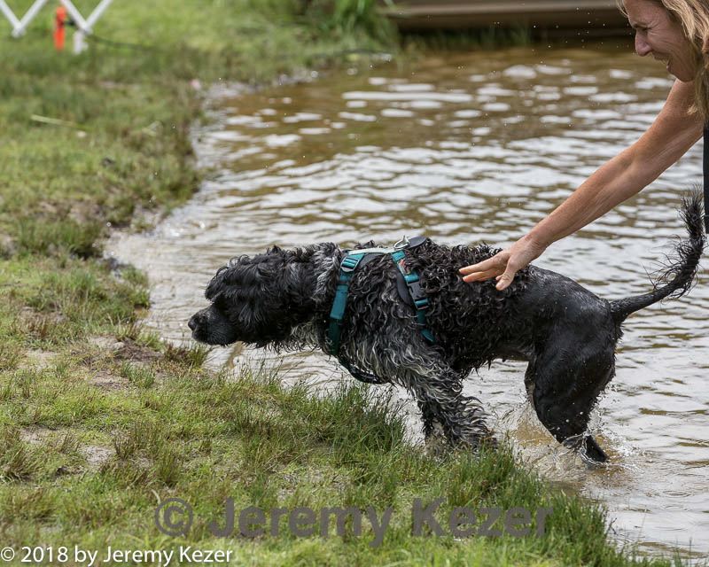 20180819-jwd-0033.jpg