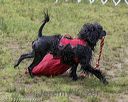 20180819-wwd-0007