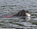 20180819-wwd-0019