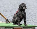 20180819-wwd-0040