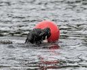 20180819-wwd-0217
