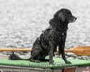 20180819-wwd-0277