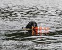 20180819-wwd-0288