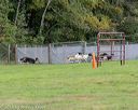 20180922-cca-0142