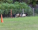 20180922-cca-0164