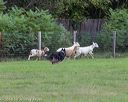 20180922-cca-0217