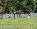 20180922-cca-0218