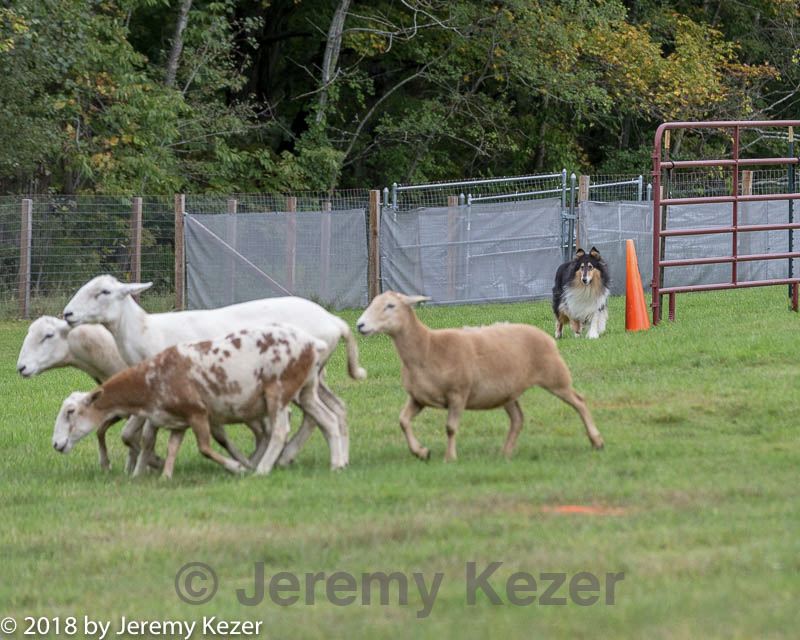 20180922-cca-0191.jpg