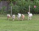 20180922-cca-0493