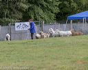 20180922-cca-0532
