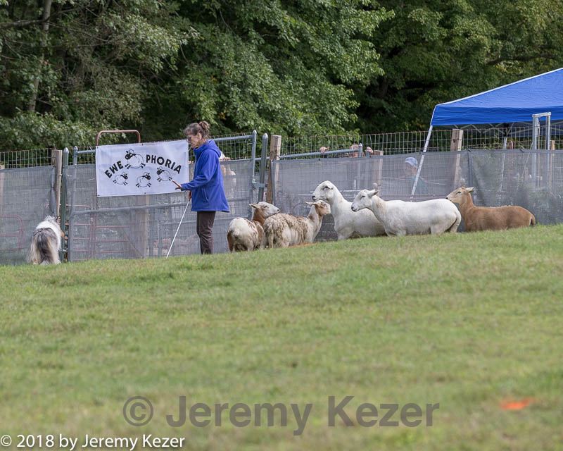 20180922-cca-0532.jpg