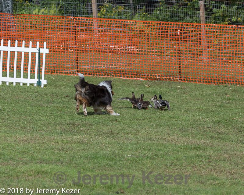 20180922-cca-0556.jpg