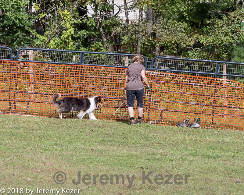 20180922-cca-0566.jpg