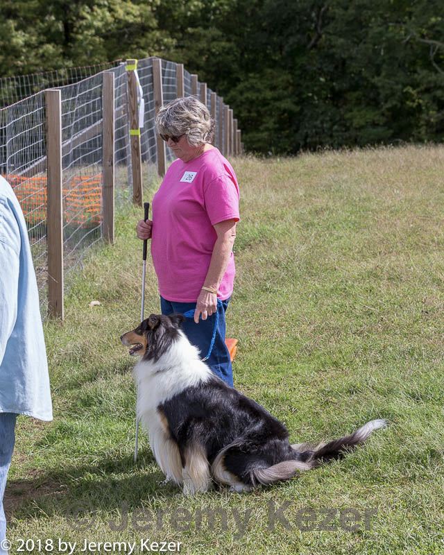 20180922-cca-0594.jpg