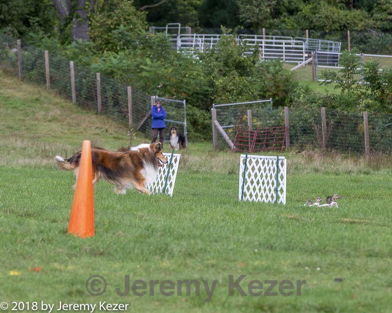 20180922-cca-0713.jpg