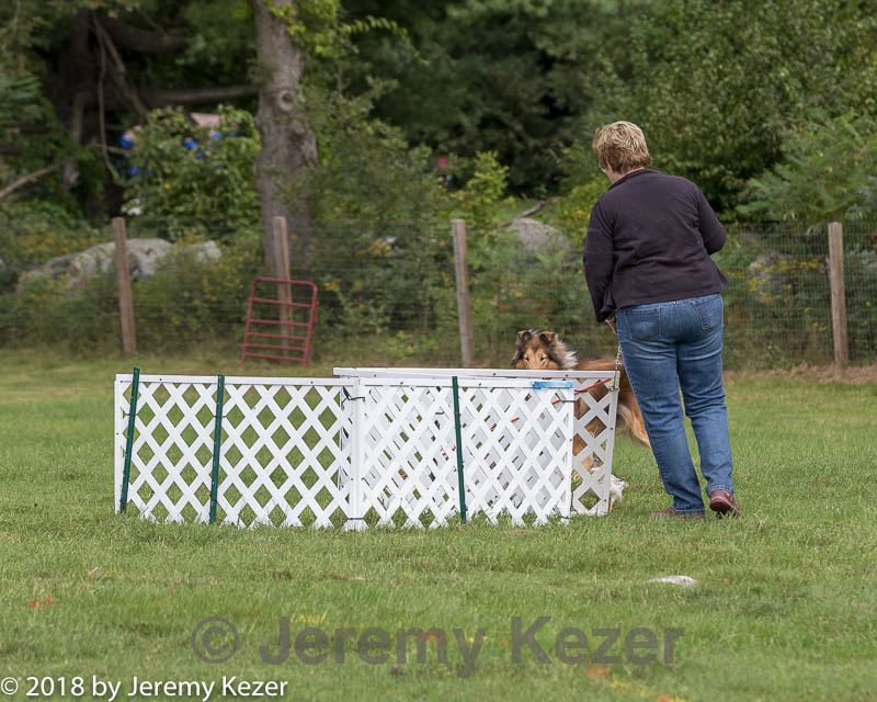 20180922-cca-0716.jpg