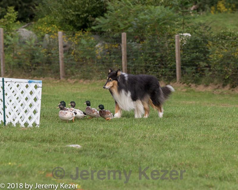 20180922-cca-0767.jpg