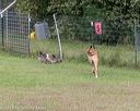 20180922-cca-1086
