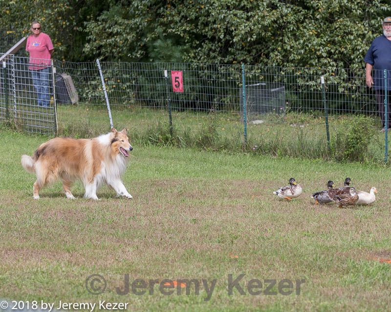 20180922-cca-0943.jpg