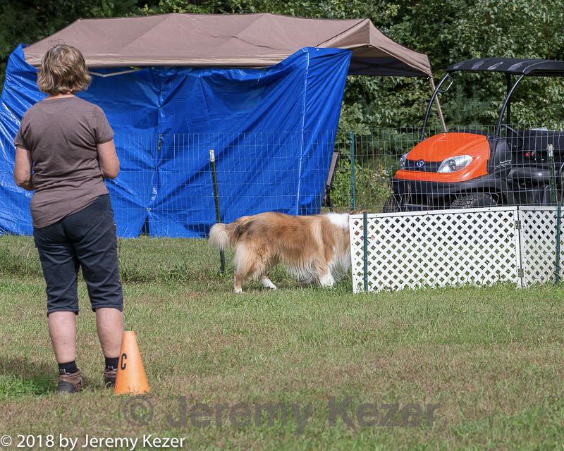 20180922-cca-0945.jpg
