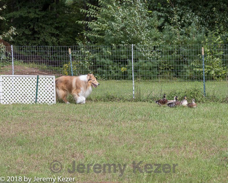 20180922-cca-0947.jpg