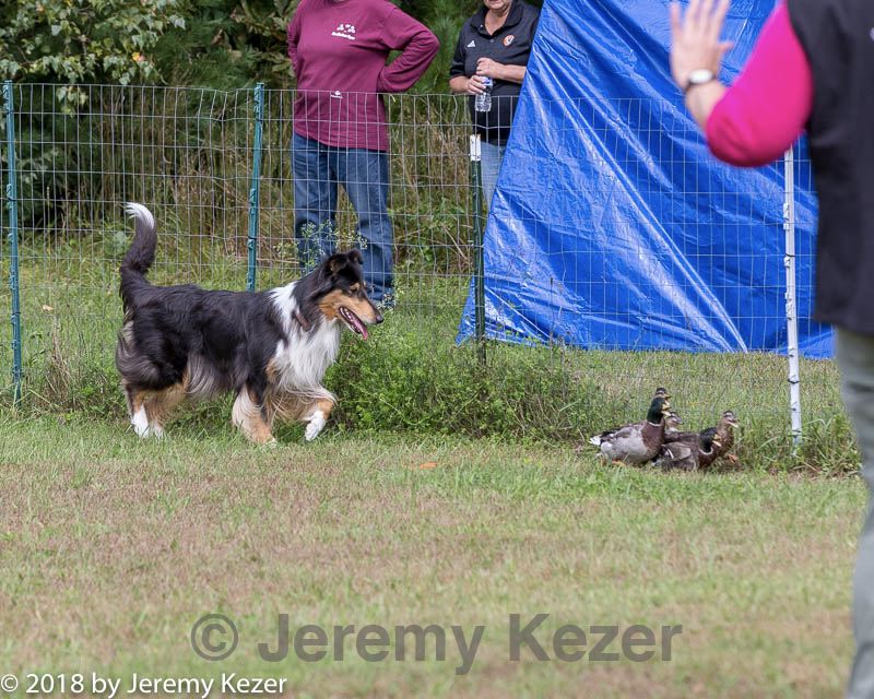 20180922-cca-1038.jpg