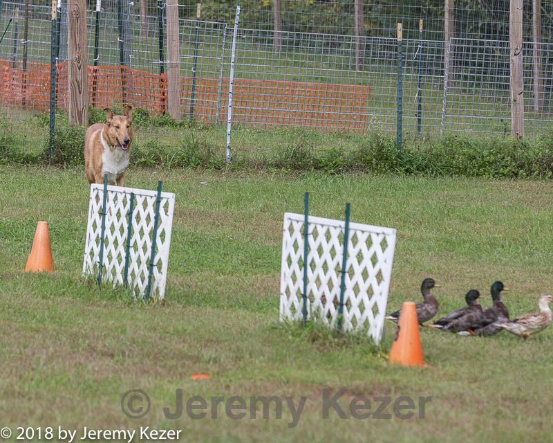 20180922-cca-1075.jpg