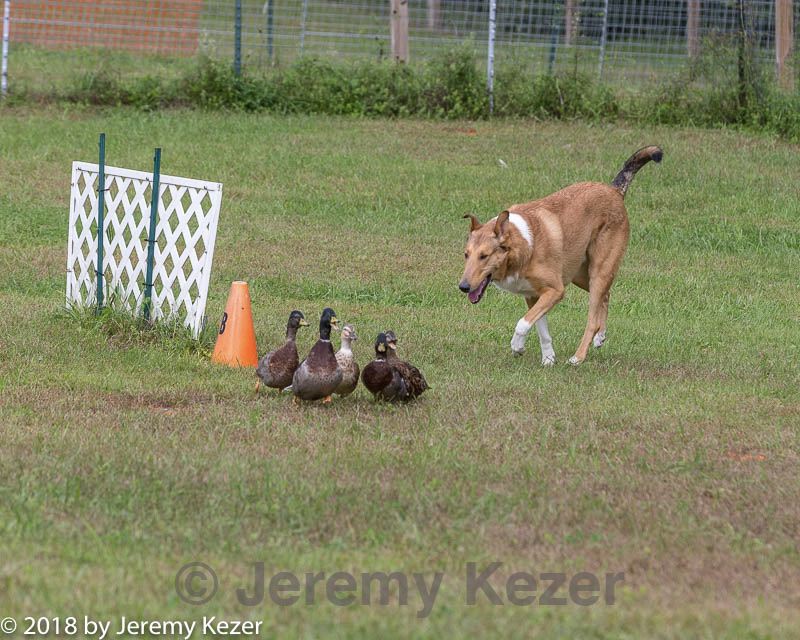 20180922-cca-1079.jpg