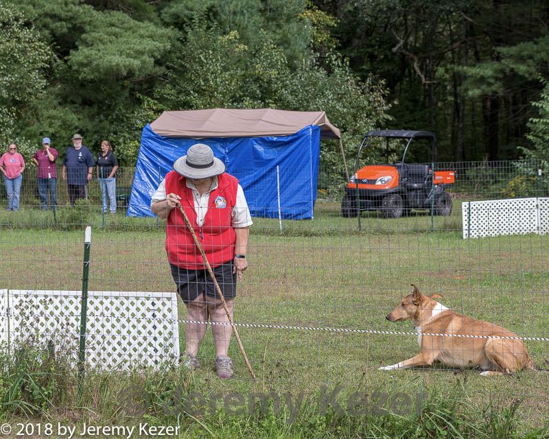 20180922-cca-1085.jpg