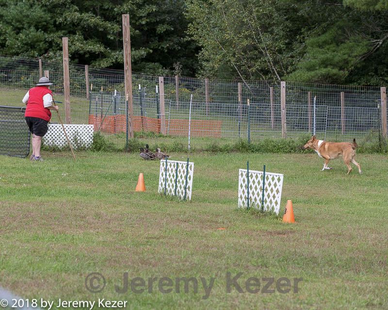 20180922-cca-1094.jpg