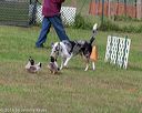 20180922-cca-1111