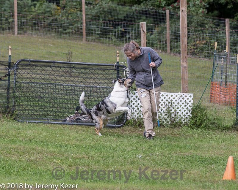 20180922-cca-1137.jpg