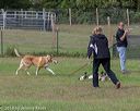 20180922-cca-1231