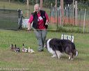 20180922-cca-1299